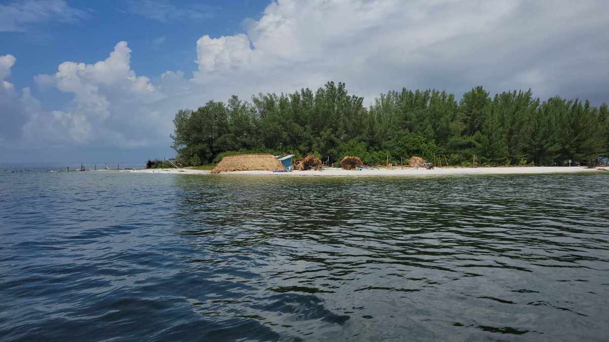 Photos courtesy of Russell Loomis